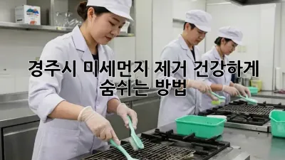 경주시 미세먼지 제거: 건강하게 숨쉬는 방법